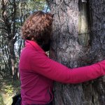 Abbraccio a un Pino silvestre monumentale a Monte Duro, Sezione CAI Reggio Emilia, ottobre 2020 - Foto F. Meneguzzo